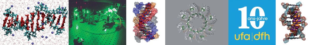 Molecular Nanostructures 2011