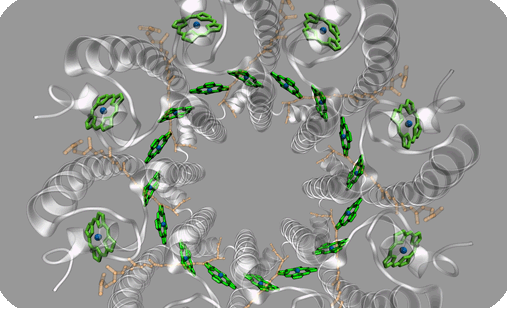 Molecular Nanostructures 2011